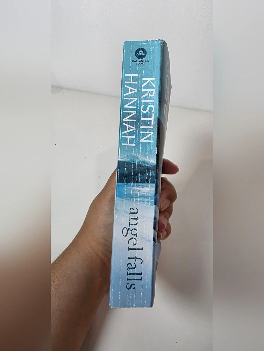 Angel Falls - Paperback